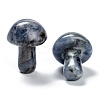 Natural Sodalite Mushroom Gua Sha Stone G-L570-A05-4