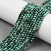 Natural Chrysocolla Beads Strands G-P514-A03-02-A-5