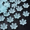 Transparent Acrylic Beads X1-MACR-S373-107-D04-1