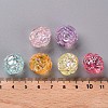 Transparent Acrylic Beads TACR-S154-31C-6