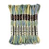 10 Skeins 6-Ply Polyester Embroidery Floss OCOR-K006-A32-1