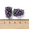 Fruit Series Handmade Lampwork Beads LAMP-R003-04D-4
