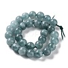Dyed Natural Malaysia Jade Beads Strands G-G021-01A-01-3