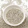 Electroplate Glass Seed Beads X-SEED-S042-01B-08-2