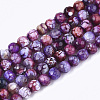 Natural Crackle Agate Beads Strands X-G-T119-01A-05-1