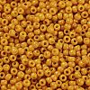 TOHO 11/0 Round Beads X-SEED-TR11-1606-1