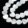 Natural Trochid Shell/Trochus Shell Beads Strands SSHEL-N034-99A-B01-3