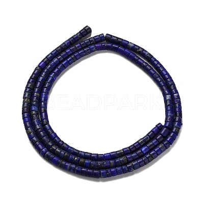 Natural Lapis Lazuli Beads Strands G-Z074-C01-1