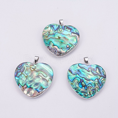 Abalone Shell/Paua Shell Pendants SSHEL-L008-30P-1