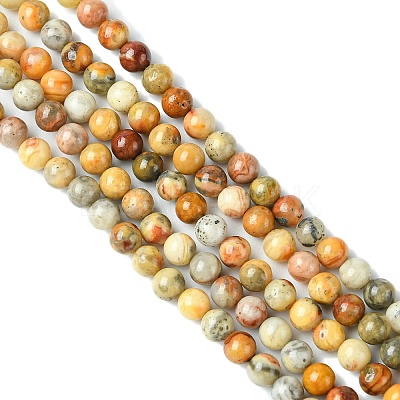 Natural Crazy Lace Agate Round Bead Strands G-E334-4mm-20-1