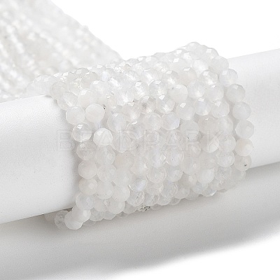 Natural Rainbow Moonstone Beads Strands X-G-J400-E12-01-1