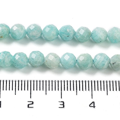 Natural Amazonite Beads Strands G-J400-E11-04-1