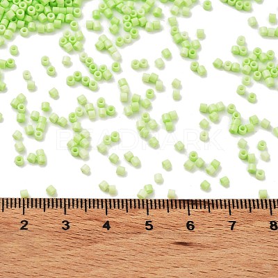 Baking Paint Glass Seed Beads X-SEED-S042-05B-65-1