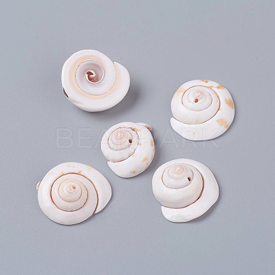 Natural Shiva Eye Shell Beads X-BSHE-D019-03-1