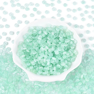 Glass Seed Beads SEED-T007-17L-1