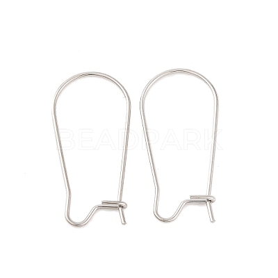 Non-Tarnish 316 Surgical Stainless Steel Hoop Earrings Findings Kidney Ear Wires X-STAS-E009-5-1