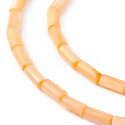 Natural Freshwater Shell Dyed Beads Strands SHEL-M018-11-1