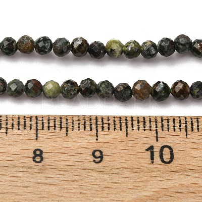Natural Seraphinite Beads Strands G-RM2025-A42-3mm-1