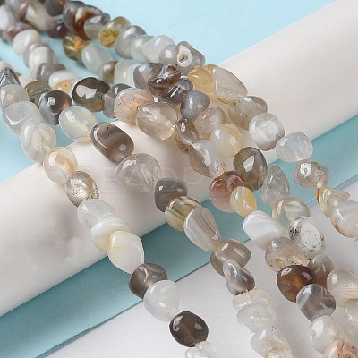 Natural Botswana Agate Beads Strands G-D081-A03-1