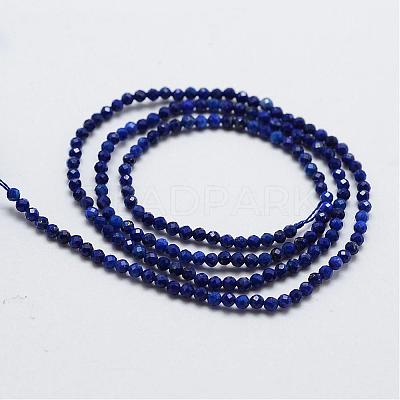 Natural Lapis Lazuli Bead Strands G-G663-48-2mm-1