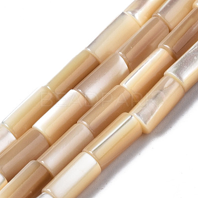 Natural Trochid Shell/Trochus Shell Beads Strands SSHEL-S266-020B-02-1