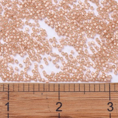 MIYUKI Delica Beads X-SEED-J020-DB0622-1