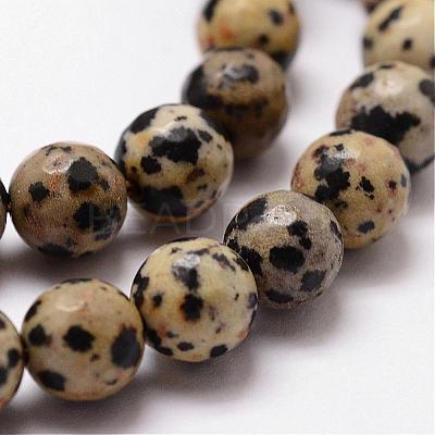 Natural Dalmatian Jasper Beads Strands G-D840-49-8mm-1
