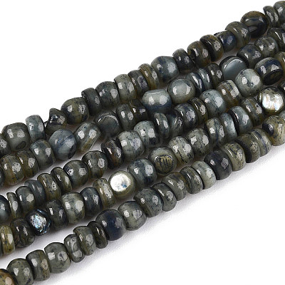 Natural Freshwater Shell Dyed Beads Strands SHEL-T020-29A-1