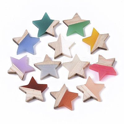 Resin & Wood Cabochons RESI-R425-02-1