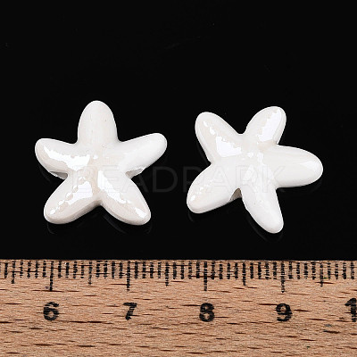 Handmade Porcelain Beads X-PORC-Q002-02E-01-1