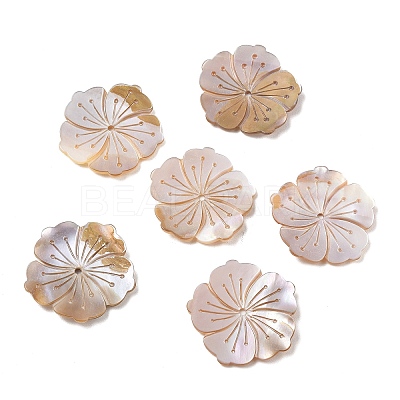 Natural Freshwater Shell Carved Beads SH-CBACA76-07-1
