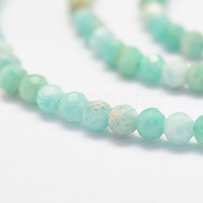 Natural Amazonite Bead Strands LS-G-P279-42-3mm-1