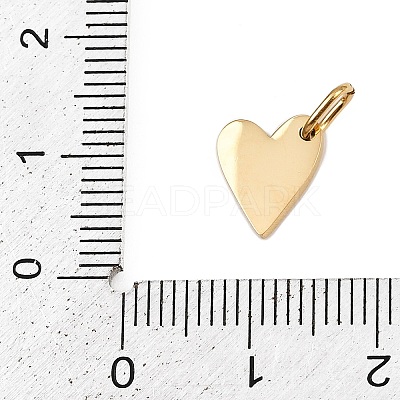 304 Stainless Steel Charms STAS-L291-01G-N-1