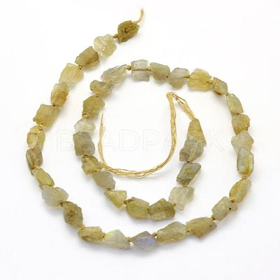 Natural Labradorite Beads Strands G-K202-11C-1