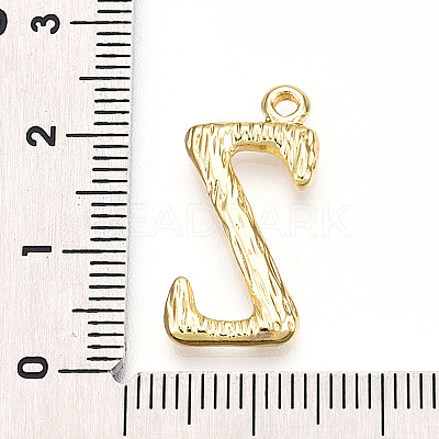 304 Stainless Steel Pendants STAS-N117-01G-Z-1