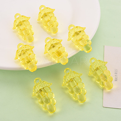 Autumn Theme Transparent Acrylic Beads TACR-S154-60B-916-1