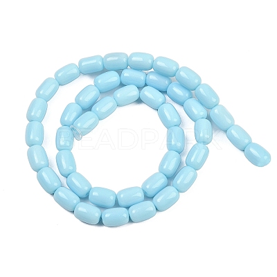 Opaque Glass Beads Strands GLAA-Z015-02E-1