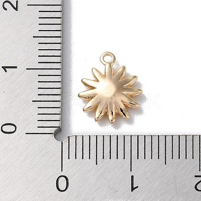 Glass Charms KK-F867-25G-1