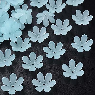 Transparent Acrylic Beads X1-MACR-S373-107-D04-1