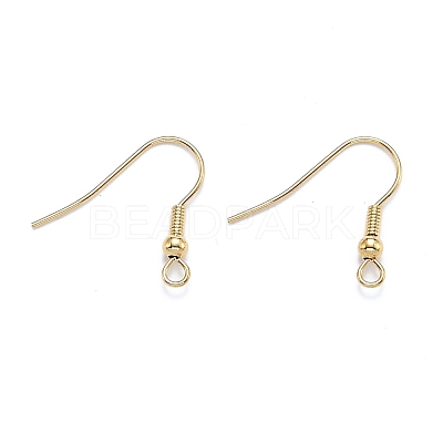 304 Stainless Steel Earring Hooks STAS-D448-036G-1