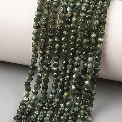 Natural Seraphinite Beads Strands G-K376-A02-3mm-1