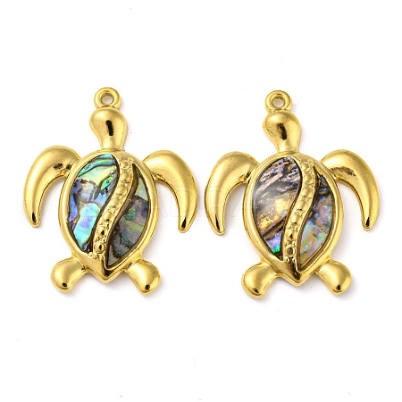 Natural Paua Shell Pendants X-STAS-P341-02G-01-1