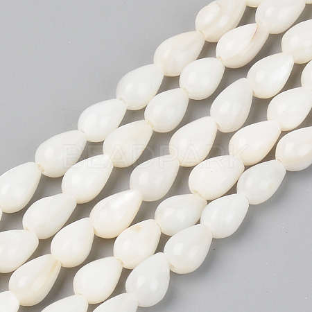Natural Freshwater Shell Beads Strands SSHEL-R048-007B-1