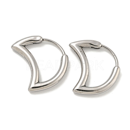 316 Surgical Stainless Steel Hoop Earrings EJEW-D096-18H-AS-1