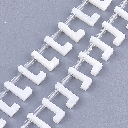 Natural Freshwater Shell Beads SHEL-T012-59L-1