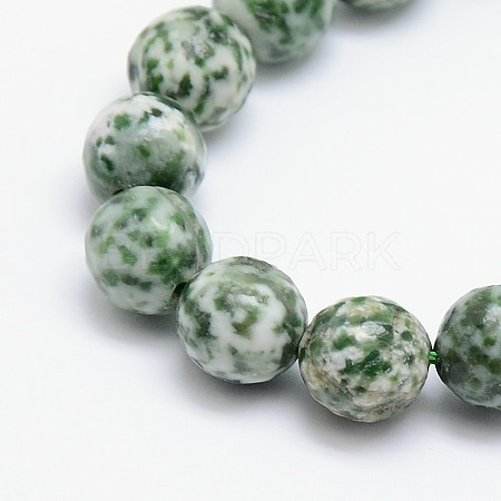 Natural Green Spot Jasper Beads Strands G-L148-14mm-01-1