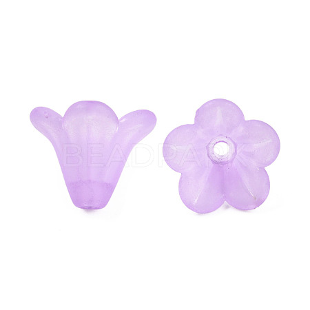 Frosted Acrylic Beads PL692-5-1
