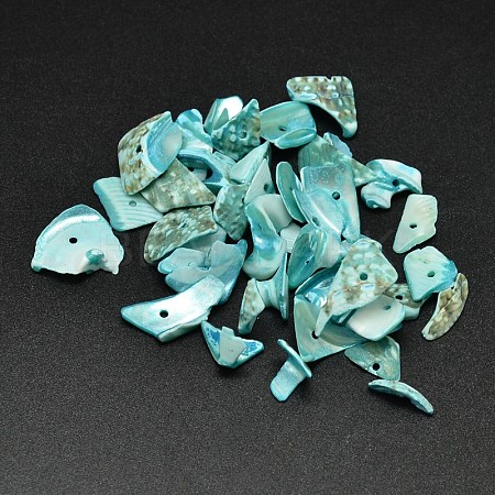 Dyed Natural Shell Nuggets Chips Beads BSHE-O007-06M-1