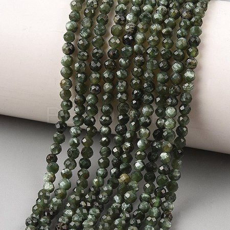 Natural Seraphinite Beads Strands G-K376-A02-3mm-1