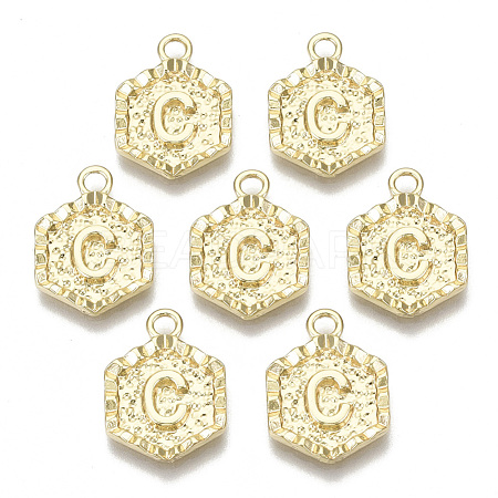 Alloy Pendants PALLOY-N157-003C-NR-1